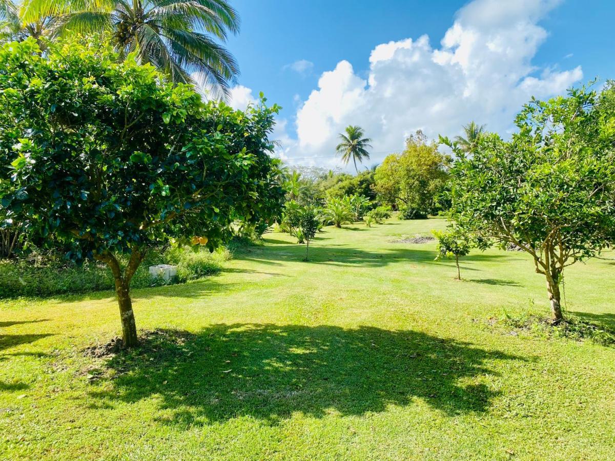 Wild Blue Water Apartment Pahoa Exterior photo